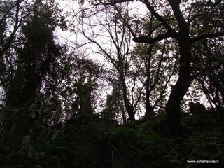 mpa Falconiera-30-03-2013 08-33-03